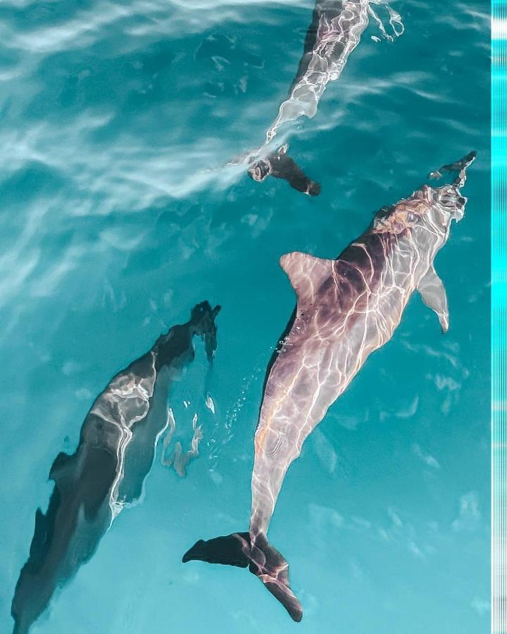 Manta Dhangethi Zewnętrze zdjęcie